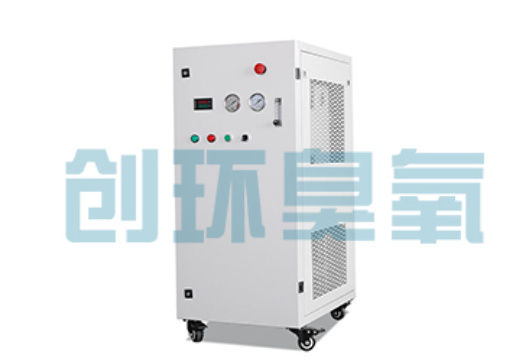长寿石斑鱼养殖水质调控完整指南：臭氧发生器配置与操作步骤