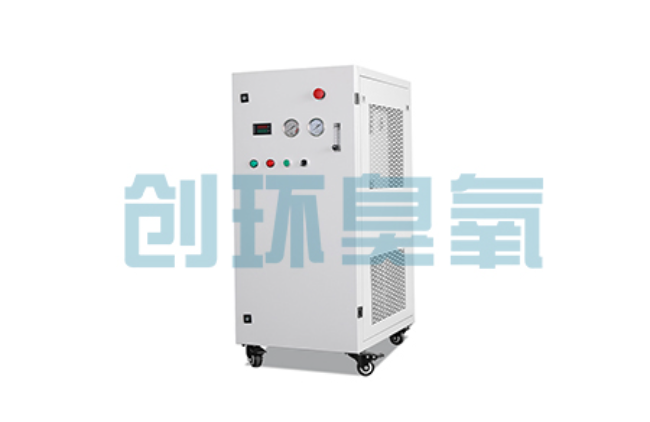 长寿比传统换水更高效？臭氧发生器在石斑鱼养殖中的水质净化原理解析
