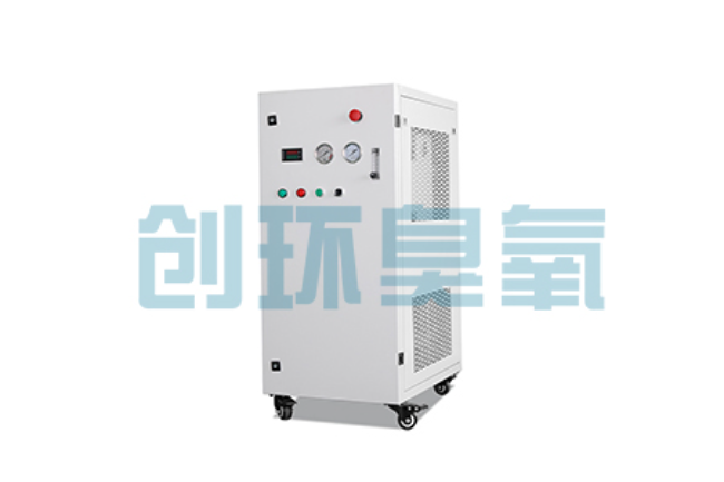 长寿比传统换水更高效？臭氧发生器在石斑鱼养殖中的水质净化原理解析